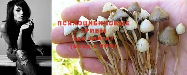 кристаллы Абаза
