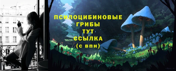 гидра Ельня